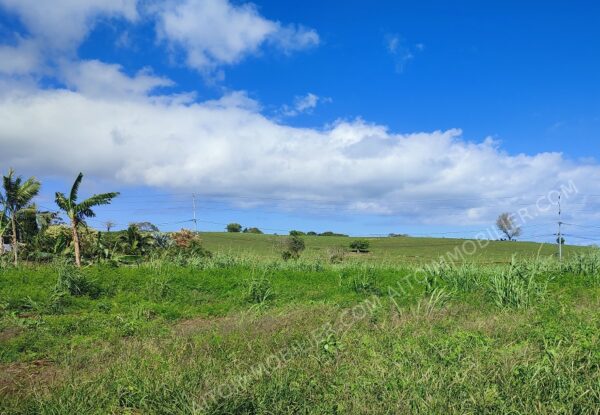 TAHITI. Nous vous proposons en exclusivité une belle parcelle  de 1900m² située sur les hauteurs de TARAVAO