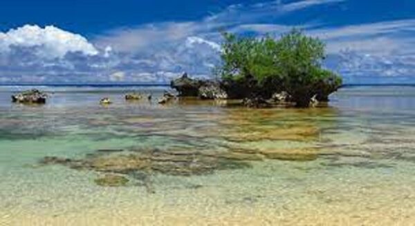 RIMATARA. Ventes et locations sur votre ile des Australes