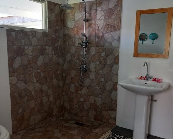 TAHITI. Vente de Maison sur MATAIEA. Construction récente année 2022 – Image 2