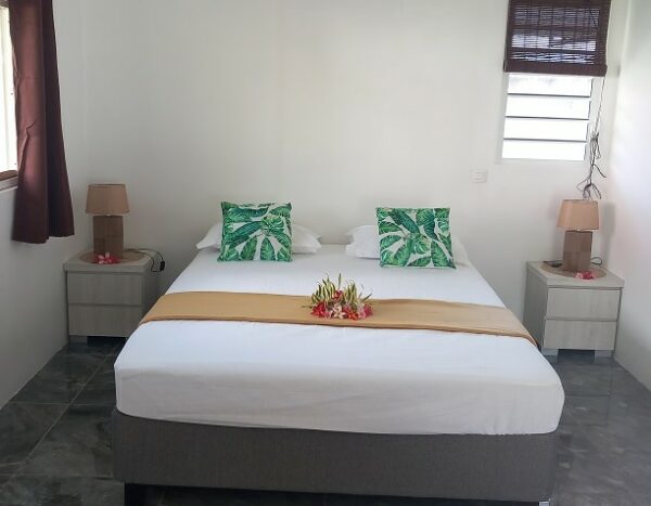 TAHITI. Vente de Maison sur MATAIEA. Construction récente année 2022 – Image 3