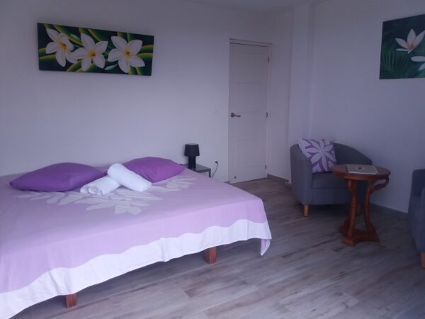TAHITI. A louer en location saisonnière F3 à Punaauia en hauteur, 2 chambres, cuisine équipée – Image 5