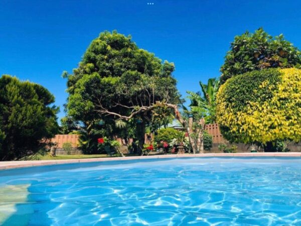 TAHITI. Location Saisonnière à Papara. Bungalow avec piscine. – Image 6