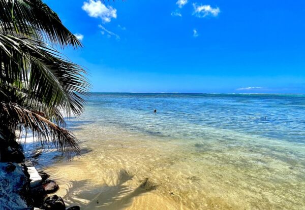 Moorea sur Atiha. Nous vous proposons une maison bord de mer avec piscine – Image 4