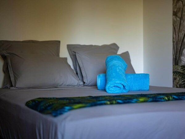 BORA BORA. BLUE VAHINE LODGE offre une vue mer. – Image 4