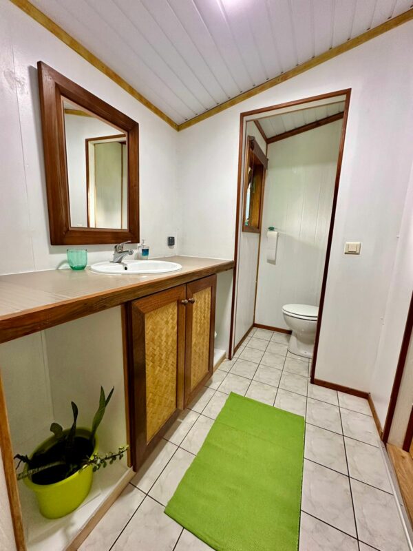 Moorea Faré tropical atiha NOUVEAUTÉ CLIMATISE,   de 33m2, totalement rénové,  très bien équipé et chaleureux – Image 3