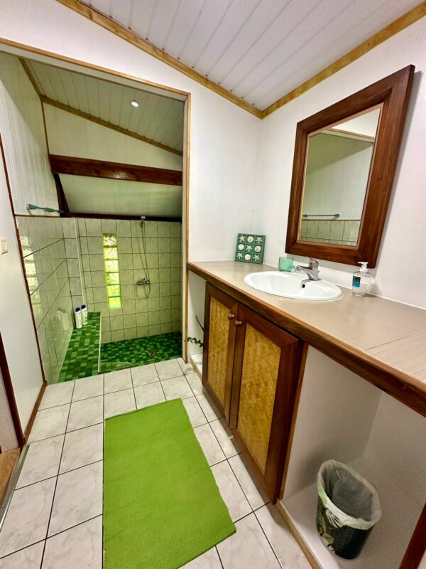 Moorea Faré tropical atiha NOUVEAUTÉ CLIMATISE,   de 33m2, totalement rénové,  très bien équipé et chaleureux – Image 5