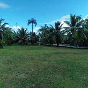 Moorea. Loue terrain de 1018m² à Afareaitu. Coté montagne, en zone UB. Plat