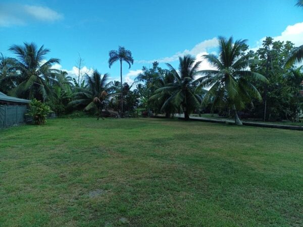 Moorea. Loue terrain de 1018m² à Afareaitu. Coté montagne, en zone UB. Plat