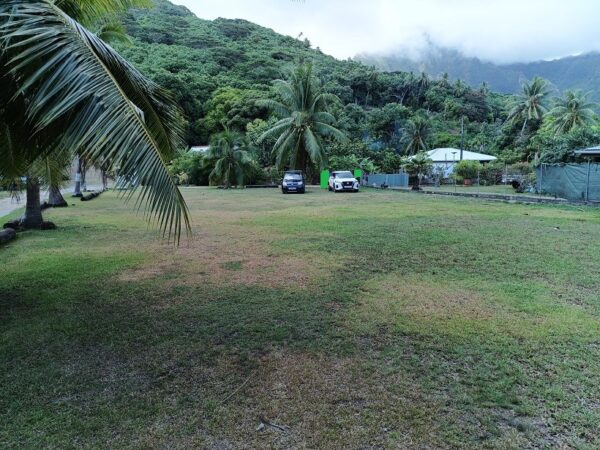 Moorea. Loue terrain de 1018m² à Afareaitu. Coté montagne, en zone UB. Plat – Image 2