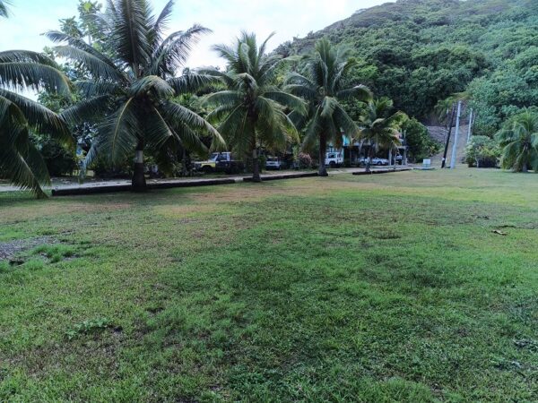 Moorea. Loue terrain de 1018m² à Afareaitu. Coté montagne, en zone UB. Plat – Image 4