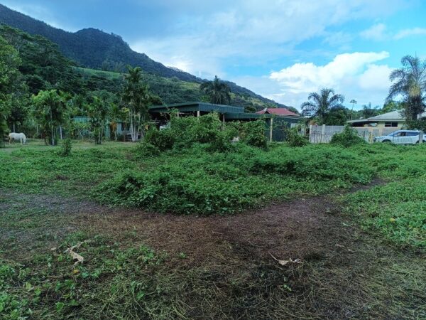 Moorea. Loue 2 terrains de 800m² à Afareaitu. Coté montagne, en zone UB. Plat – Image 4