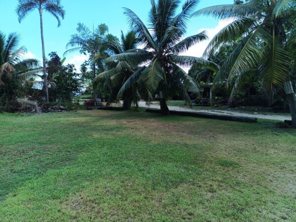 Moorea. Loue terrain de 1018m² à Afareaitu. Coté montagne, en zone UB. Plat – Image 6