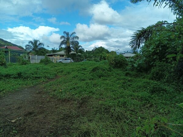 Moorea. Loue 2 terrains de 800m² à Afareaitu. Coté montagne, en zone UB. Plat – Image 6